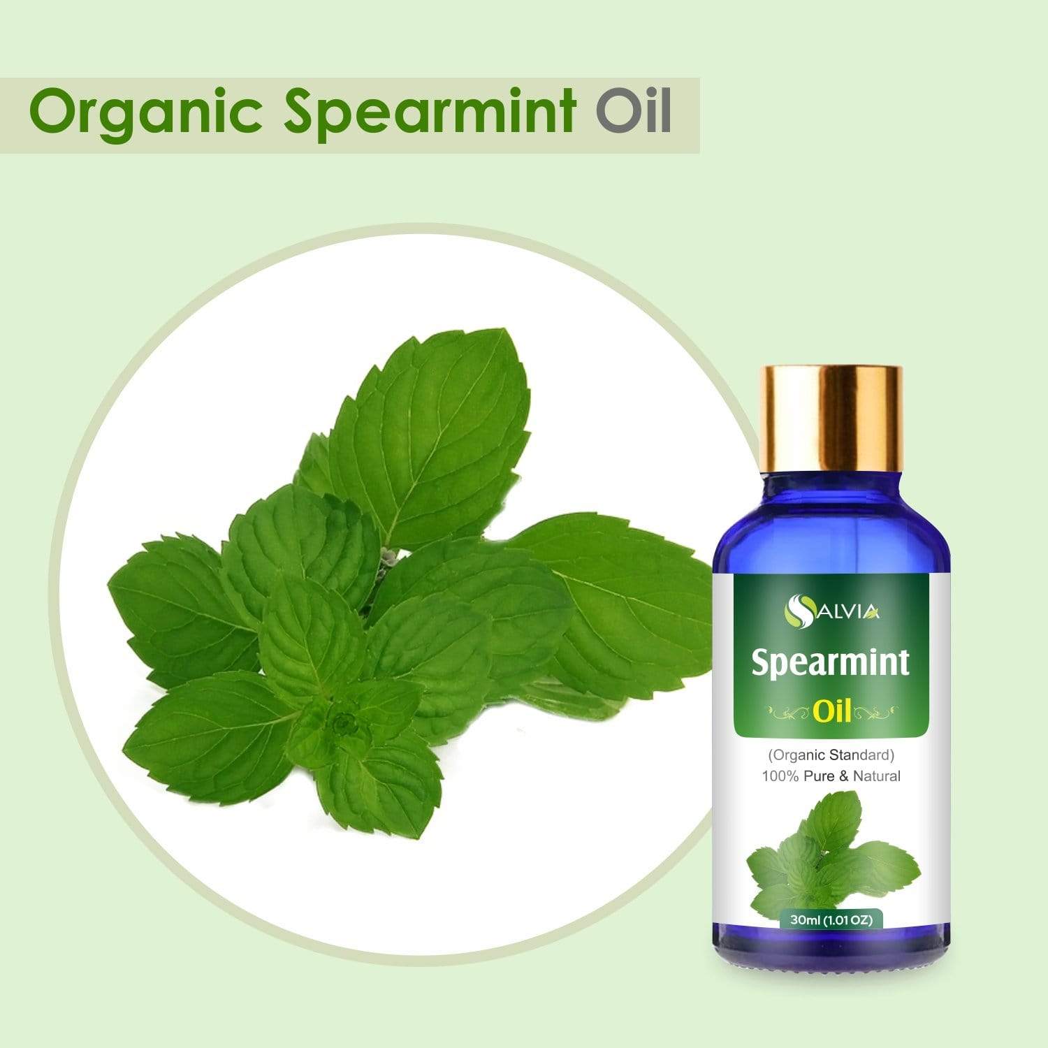Organic Spearmint Essential Oil benefits 